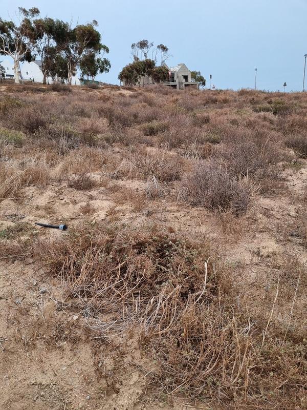 0 Bedroom Property for Sale in St Helena Views Western Cape